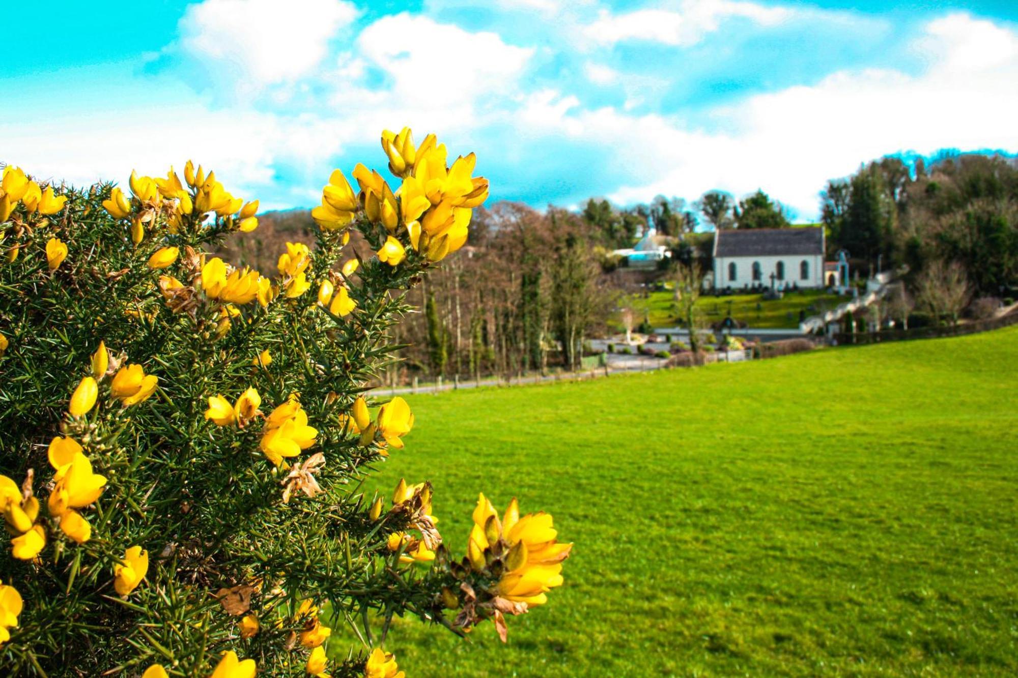 The Coach Inn Strabane Luaran gambar